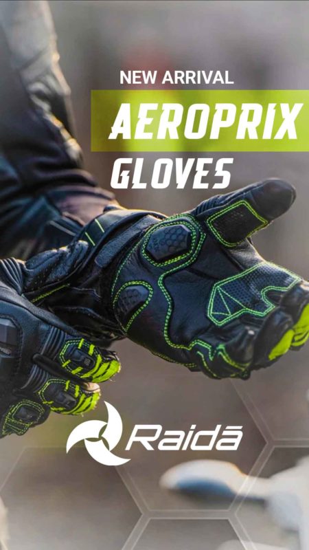 Raida Gloves Poster