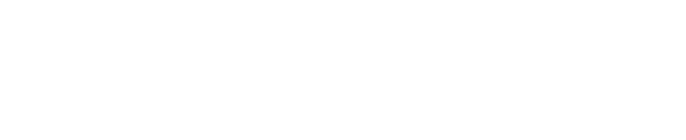 Custom Elements
