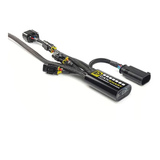 Denali Plug n Play CANsmart Controller for BMW R1200 LC & R1250 Series Gen I 1