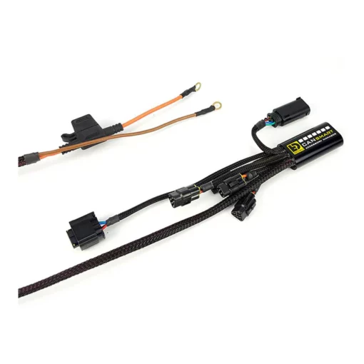 Denali Plug n Play CANsmart Controller for BMW R1200 LC & R1250 Series Gen I 2